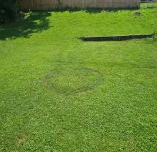 ČOVEK PRONAŠAO ČUDNE KRUGOVE NA TRAVNJAKU ISPRED KUĆE Internet se usijao i počele su da kruže razne teorije - jedna je baš zastrašujuća