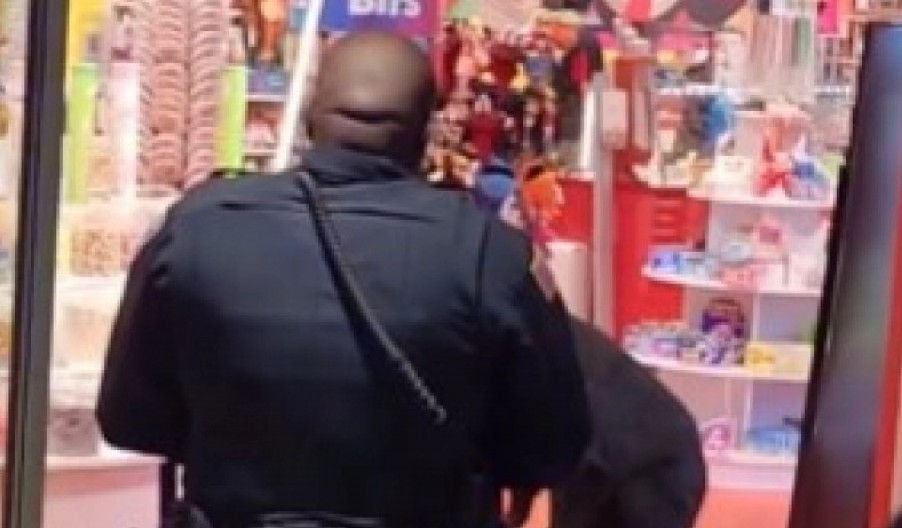 ŠOKANTAN SNIMAK IZ PRODAVNICE Divlja zver upala na vrata i navalila na bombone, posetioci bežali u neverici! (VIDEO)