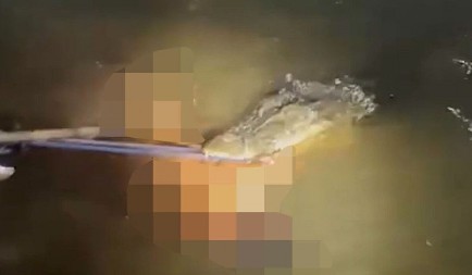 KROKODIL ZGRABIO ČOVEKA I ODVUKAO GA POD VODU! Jeziv napad snimljen kamerama, ljudi uleteli u vodu, pokušavali da ga uhvate za ruku!