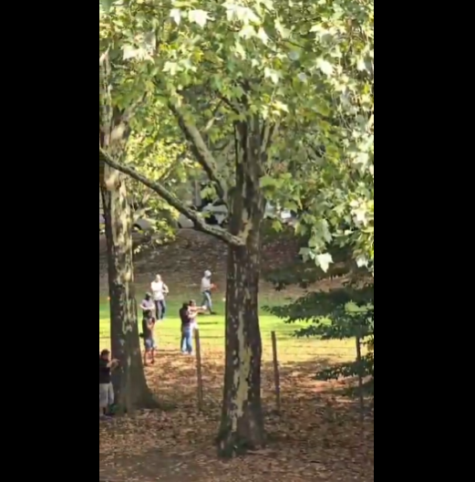 UZNEMIRUJUĆI SNIMAK! MLADIĆ LEŽI, U NJEGA UPERENE DUGE CEVI Albanac s KiM (17) koji je izbo nastavnicu krenuo nožem na specijalce, oni ga ranili! (VIDEO)