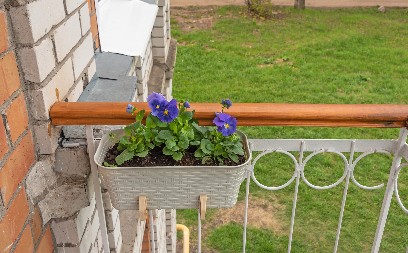 NEĆE UVENUTI DO KASNE JESENI, IMA DA CVETA DO DECEMBRA Evo šta treba da uradite sa vašim cvećem, bujaće ponovo