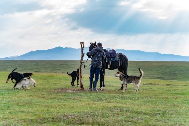 Život između zore i štale: Kako izgleda dan jednog stočara u Srbiji