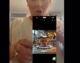 MISLILA JE DA NARUČUJE SAVRŠEN BOŽIĆNI UKRAS, A DOBILA ČUDOVIŠTE IZ PAKETA