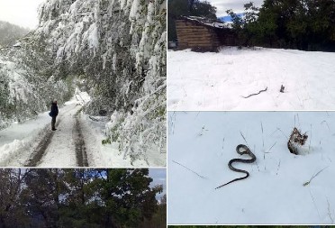 ZMIJA SE POJAVILA USRED SNEGA U KURŠUMLIJI — NARODNO VEROVANJE KAŽE: OVO JE LOŠ ZNAK! Desiće se...