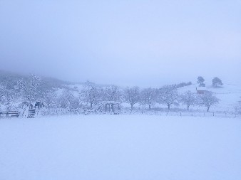 MINUS 15, ZAVEJANI GRADOVI I ZALEĐENE REKE Ristić upozorava: Zima kakvu Srbija ne pamti – sledi MINUS 15 i ARKTIČKI talas!