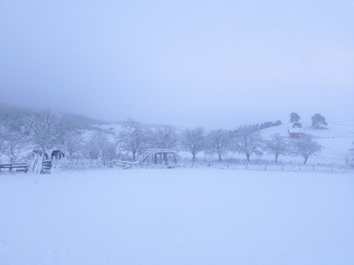 MINUS 15, ZAVEJANI GRADOVI I ZALEĐENE REKE Ristić upozorava: Zima kakvu Srbija ne pamti – sledi MINUS 15 i ARKTIČKI talas!