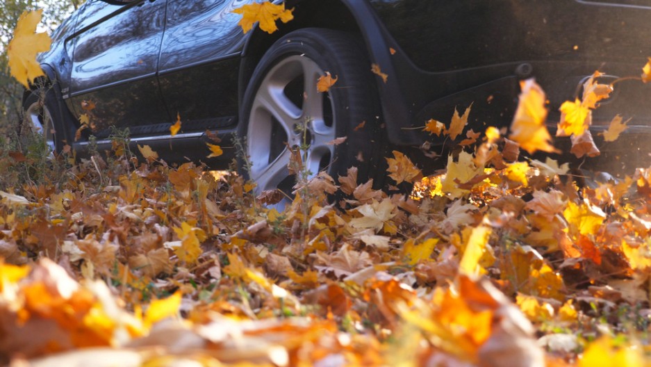 RHMZ OBJAVIO NAJNOVIJU PROGNOZU Evo kakva nas temperatura očekuje do kraja nedelje