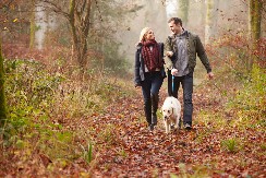 BRUKA I SRAMOTA NA TROTOARU Bahata vlasnica psa svojim potezom razbesnela komšije – usledilo brutalno poniženje!