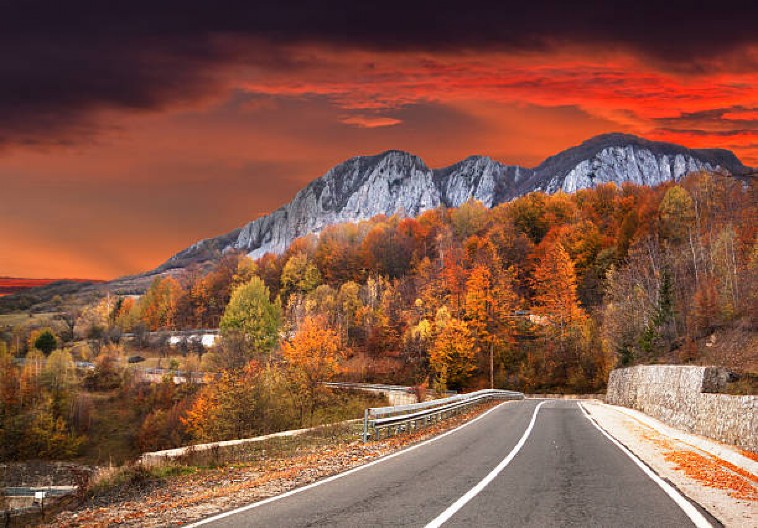 HOROSKOP ZA ČETVRTAK, 16. OKTOBAR Devica pravi niz grešaka na poslu, manji priliv novca za Jarca, Riba u ljubavnom zanosu
