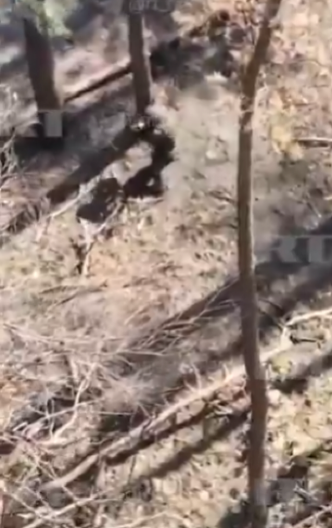 RUSI JAVLJAJU TEŠKU VEST: Ukrajinci su nas napali, naš vojnik je mrtav