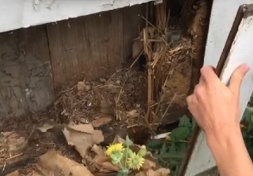 NEVEROVATNO OTKRIĆE U STAROJ KUĆI Par srušio zid, zanemeli kad su videli kakvo blago je unutra! (VIDEO)