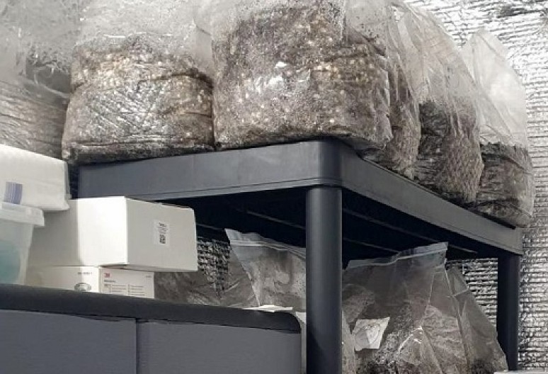 ZAPLENJENO DEVET KILOGRAMA MARIHUANE Evo kako se diler branio pred tužiocem