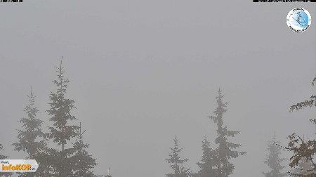 U OVOM DELU SRBIJE PAO SNEG, U 11 SATI IZMERENO 0 STEPENI! Evo u kojim gradovima je najtoplije (FOTO)