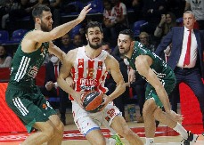 DA PADNE PAO? Evo kad je bilo poslednje Zvezdino slavlje, zeleni su bili rastureni!