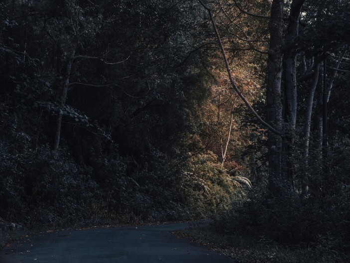 "PROSTO NE MOŽEMO DA VERUJEMO..." Jovan odmah sve snimio, meštani priznali: Ovako nešto se retko dešava (FOTO)
