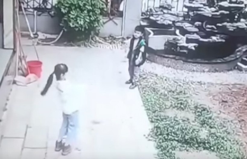 "SKLONITE SE, SAM ĆU" Snimak iz dvorišta šokirao mreže — niko nije očekivao OVAKVU reakciju ljubimca! (VIDEO)