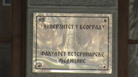 NAKON VESTI O BLOKADI VETERINARSKOG FAKULTETA, NAROD JE BESAN Šta je sa većinom koja želi da stvara i da živi?