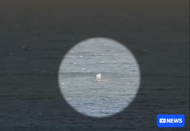 AJKULA NAPALA SURFERA, SNIMAK BUDI JEZU "Mislio sam da je ovo kraj" (VIDEO)