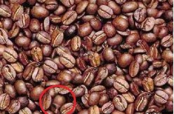 PRONAĐETE SKRIVENO LICE Vi ste genije ako ste uspeli za manje od 11 sekundi