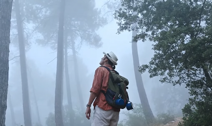 NAPUŠTENO SELO U ŠUMI SMATRA SE UKLETIM Jezive priče vezuju se za njega, veruje se da je puno duhova