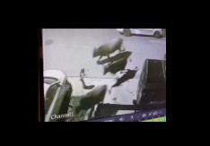 DRAMATIČAN SNIMAK IZ TIVTA: Policajac u poslednjem trenutku spasio dete od pomahnitale stoke (VIDEO)