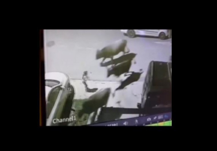 DRAMATIČAN SNIMAK IZ TIVTA: Policajac u poslednjem trenutku spasio dete od pomahnitale stoke (VIDEO)