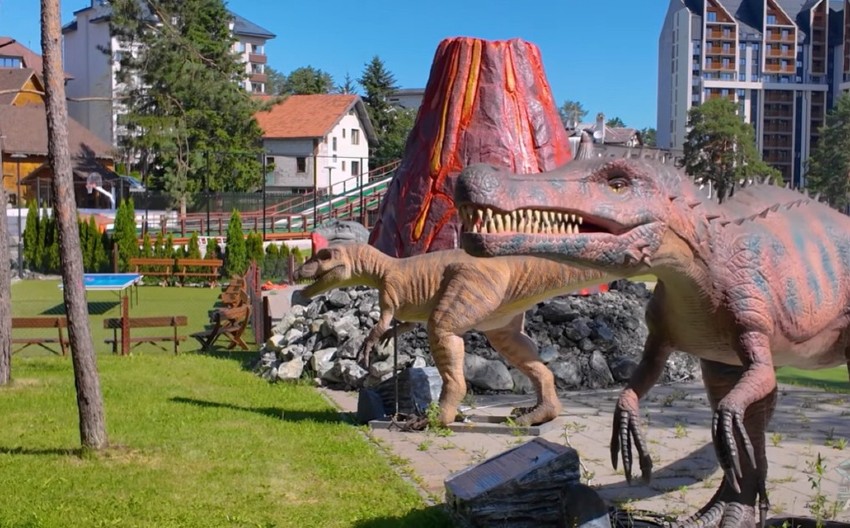 NIĐE NEBO NIJE PLAVO: Crnogorci preplavili Zlatibor za Njegošev dan