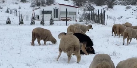 USKORO DVA NALETA SNEŽNIH PADAVINA Evo gde će da veje, stiže još jedna pojava zbog koje će biti LEDENO