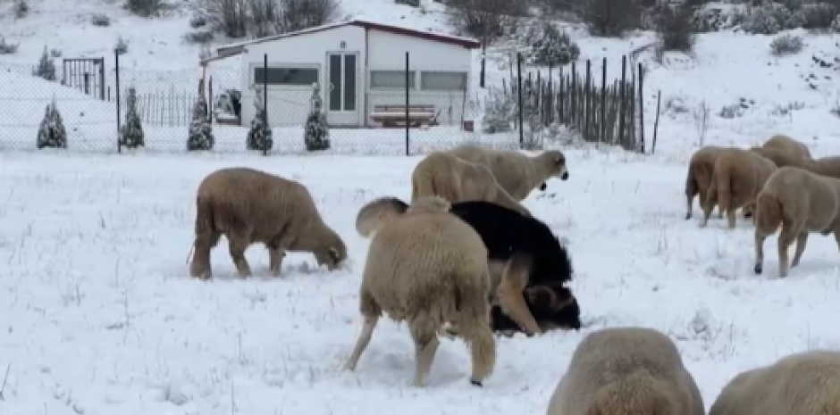 USKORO DVA NALETA SNEŽNIH PADAVINA Evo gde će da veje, stiže još jedna pojava zbog koje će biti LEDENO