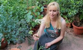 KO IMA OVU BILJKU PRATIĆE GA SREĆA Mitološka trava, za koju Srbi kažu da ima magičnu moć