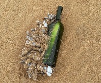 NEVEROVATNO OTKRIĆE Poruka u boci prešla pola sveta za 16 godina – sadržaj će vas ostaviti bez reči! (FOTO)