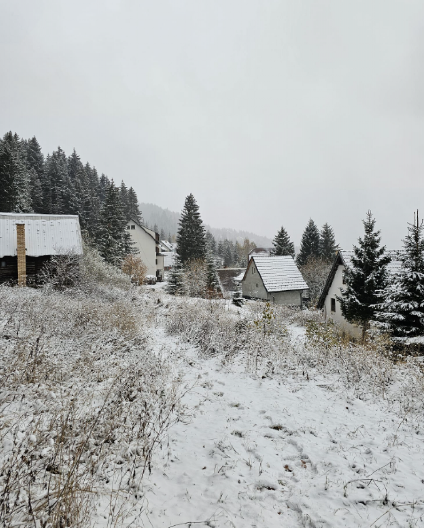 STIŽE 35 CENTIMETARA SNEGA Srbija uskoro na udaru snežnih padavina