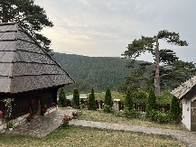 SVAKA NJIHOVA GRANČICA JE PRAVA DRAGOCENOST  U Srbiji postoje samo 4 zlatna bora, na Zlatiboru počela spasilačka akcija