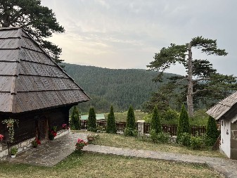 SVAKA NJIHOVA GRANČICA JE PRAVA DRAGOCENOST  U Srbiji postoje samo 4 zlatna bora, na Zlatiboru počela spasilačka akcija
