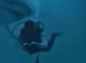 NESREĆNIK SE NAŠAO NA METI MORSKOG ČUDOVIŠTA Zver prišla roniocu s leđa, razjapila čeljusti, pa htela da mu otkine glavu! (VIDEO)