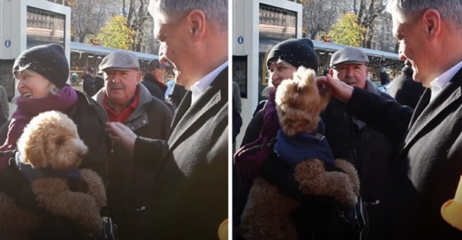 MILANOVIĆA ZAMALO IZUJEDAO PAS NA PIJACI: Pogledajte urnebesan trenutak kada je pas pokušao da ugrize predsednika Hrvatske (VIDEO)