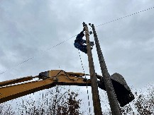 POD TEŽINOM SNEGA PALO STABLO VISOKO PREKO 30 METARA Radnici Elektrodistibucije hitno sanirali kvar na elektromreži