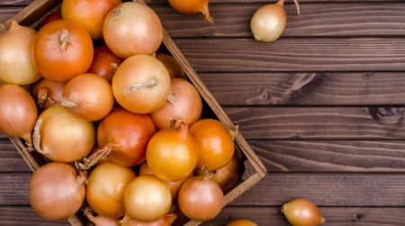 ZAŠTO JE DUPLIRANA PRODAJA LUKA Stigao najnoviji izveštaj sa Veletržnice Beograd