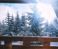 BRVNARA SA KAMINOM I POGLED SA TERASE VREDAN MILIONE Poznata pevačica napravila raj na Goliji