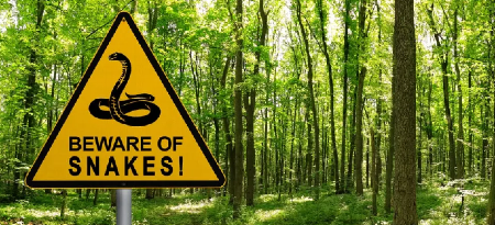 OVOM PREDATORU JE POTREBNO SAMO 13 SEKUNDI DA VAS USMRTI Ali on nije najopasniji, ovaj podatak će  sve šokirati!