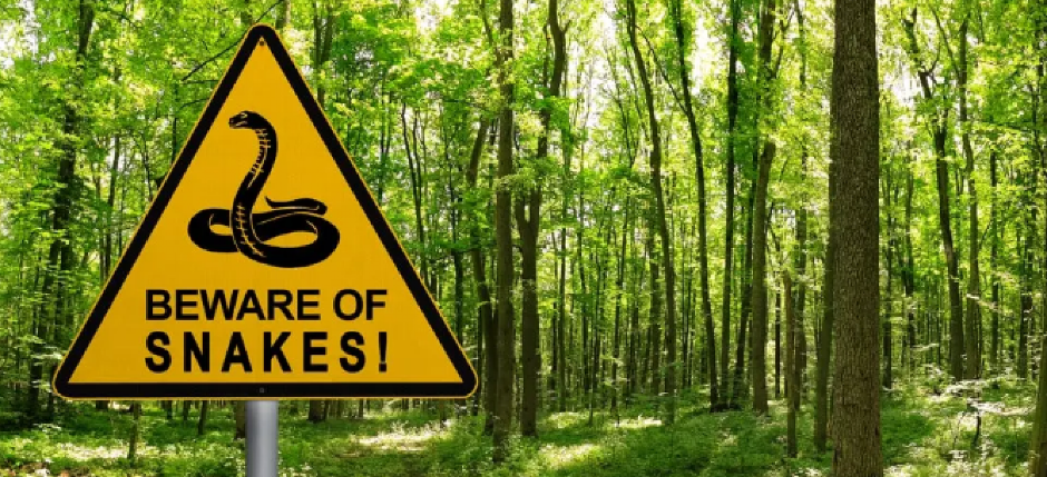 OVOM PREDATORU JE POTREBNO SAMO 13 SEKUNDI DA VAS USMRTI Ali on nije najopasniji, ovaj podatak će  sve šokirati!