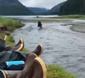 DRAMA NA OBALI REKE, DIVLJA ZVER NALETELA NA LJUDE Evo kako su uspeli da spasu živu glavu, jedna stvar je ključna! (VIDEO)