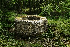 MEŠTANI TRI DANA ČULI VRISKU IZ OBLIŽNJE ŠUME Kada su videli šta je u napuštenom bunaru, umalo se onesvestili od šoka! (FOTO)