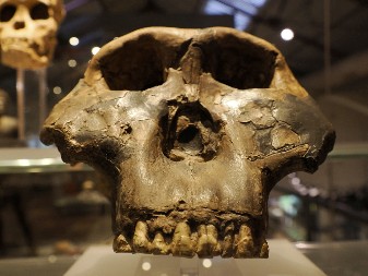 LJUDSKA VRSTA NA IVICI ISTREBLJENJA Prvi put otkriveno, klimatsko razaranje preti nestanku čovečanstva!