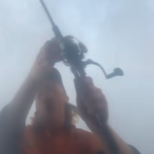 PECAROŠ ZABACIO UDICU, PA SKOČIO UZ GLASNI VRISAK Dramatična scena na moru, čim je osetio da varniči, pobegao glavom bez obzira! (VIDEO)