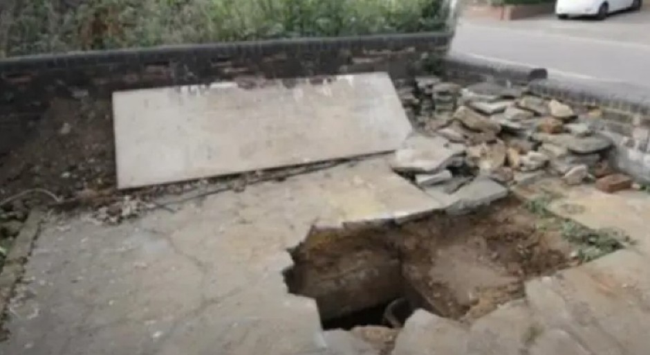 ''O BOŽE, ŠTA SMO TO PRONAŠLI?'' Porodica nije ni slutila kakvo blago ima u dvorištu kuće, njihovo otkriće je zapanjilo svet! (FOTO)