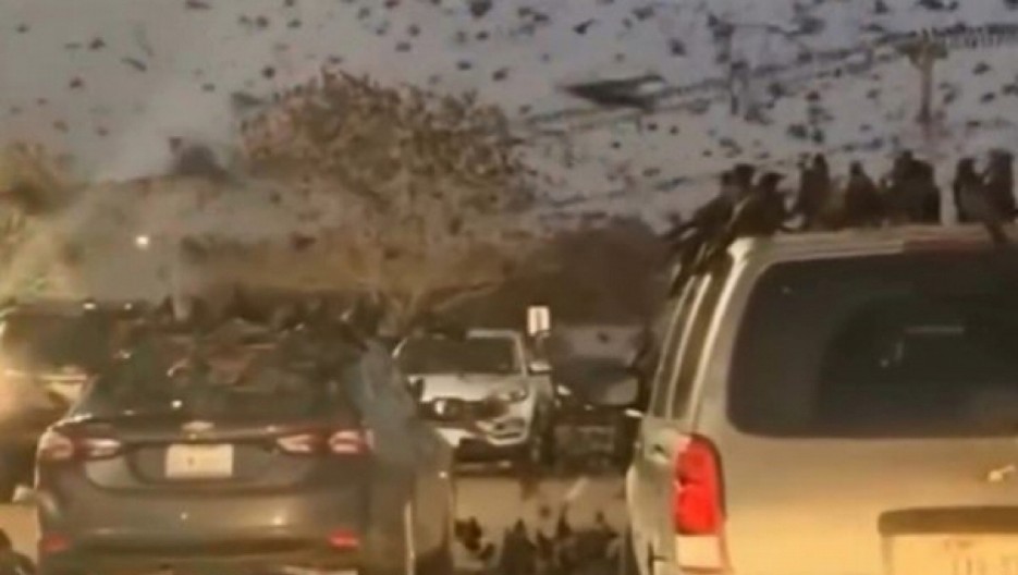 STRAVA I UŽAS NA NEBU Sve se zamračilo, opasne ptice pojavile se niotkuda (VIDEO)