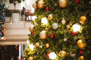 HOROR PRED PRAZNIKE Par otkrio vaši na svojoj jelki, zbog ovoga su postali viralni hit (VIDEO)