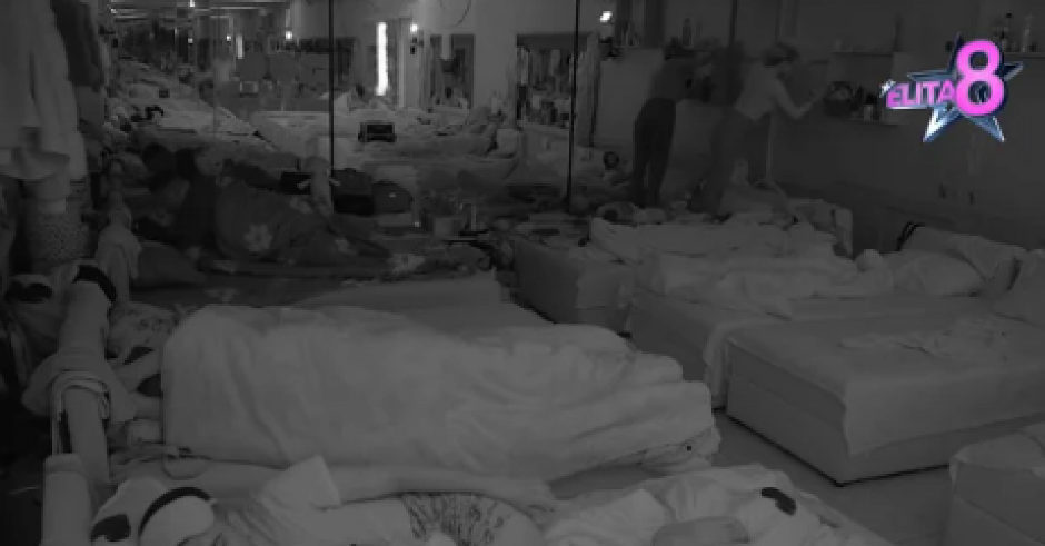 VRELA AKCIJA ANĐELE ĐURIČIĆ I NENADA MARINKOVIĆA! Totalno im popustile kočnice, zaboravili na kamere