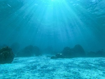 MASK SMATRA DA JE MOGUĆE Gigantski tunel između dva kontinenta moze da bude 1.000 puta jeftiniji